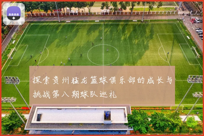 探索贵州猛龙篮球俱乐部的成长与挑战第八期球队巡礼