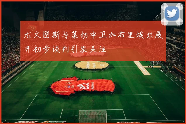 尤文图斯与莱切中卫加布里埃尔展开初步谈判引发关注