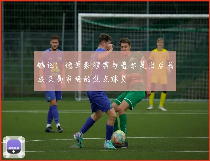 鹕记：德章泰穆雷与普尔复出后或成交易市场的焦点球员