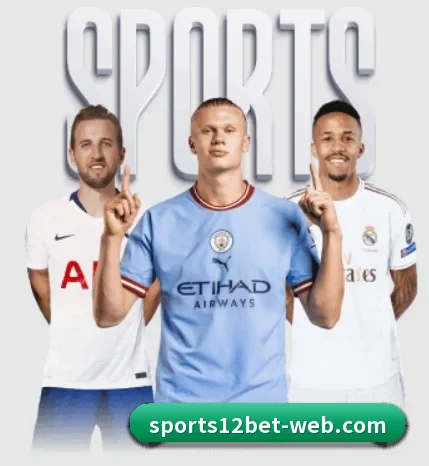 五个功能入口,赛程查询路径更短 - 多运动项目内容板块 - 12bet